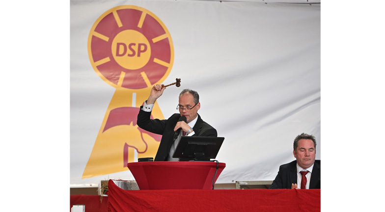 Deutsches Sportpferd